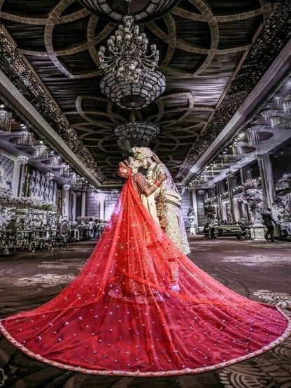 Ishhaara Bridal Entry Long Veil Dupatta