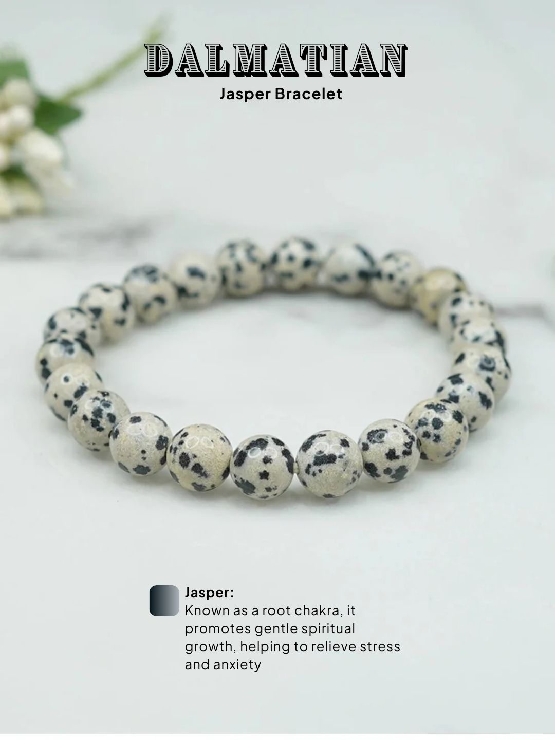 Ishhaara Dalmatian Jasper Bracelet